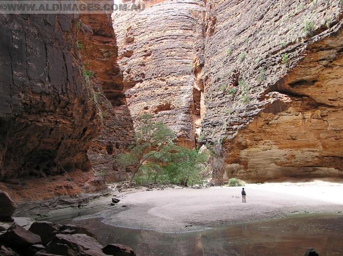 678x501 pixels (264K)